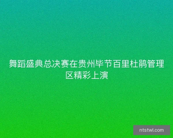 舞蹈盛典总决赛在贵州毕节百里杜鹃管理区精彩上演